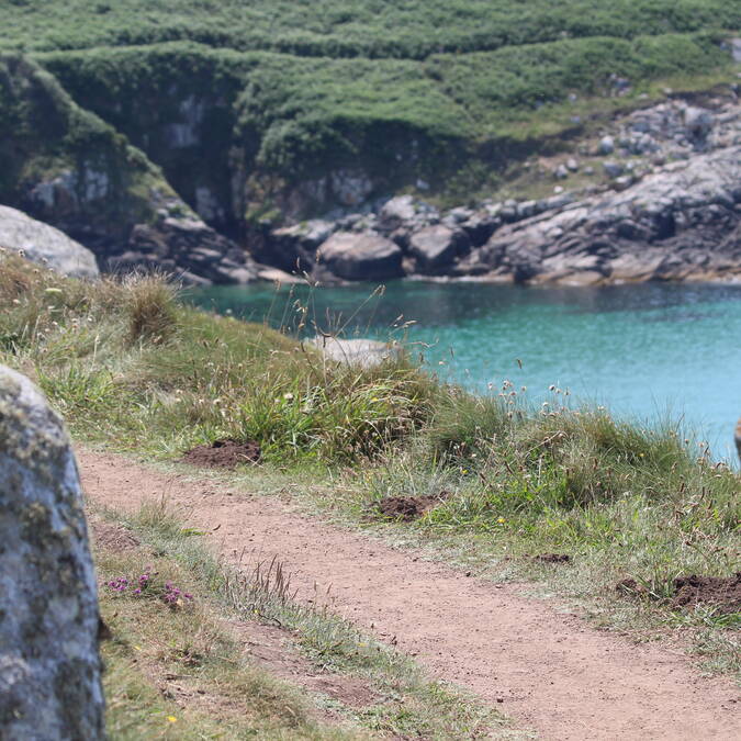 Rando sur le GR®34 du Cap-Sizun © Dimitri Poixe