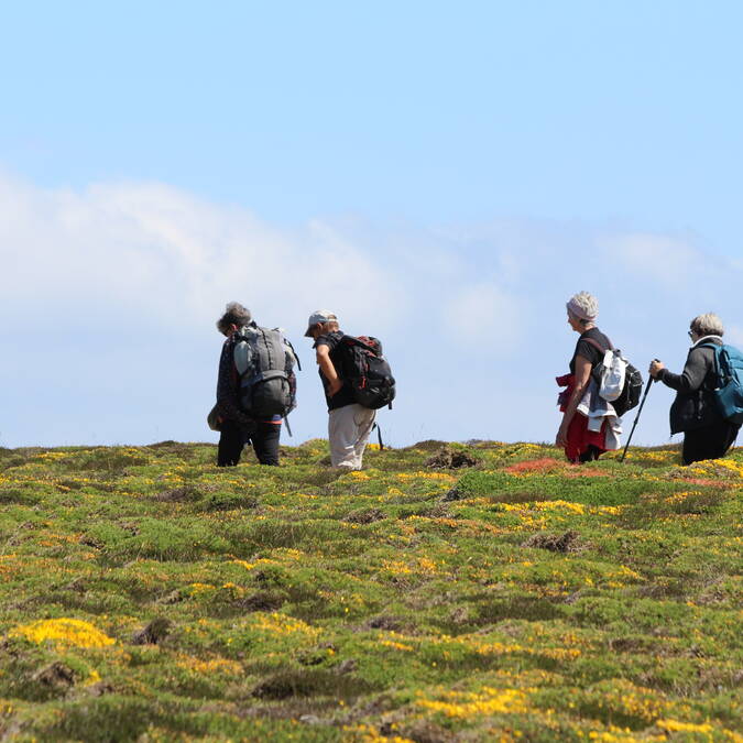 Randonnée pédestre à la Pointe du Van Cléden Cap-Sizun© Dimitri Poixe